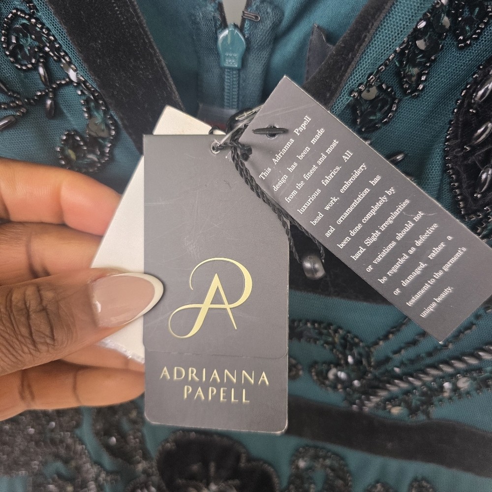 $799 Adrianna Papell Velvet-Trim Embellished Midi Bead Mesh Dress Sz 2 Old Money - Picture 8 of 16